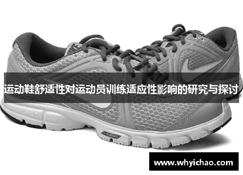 运动鞋舒适性对运动员训练适应性影响的研究与探讨