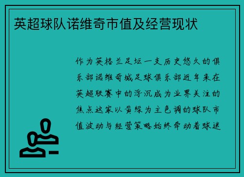 英超球队诺维奇市值及经营现状